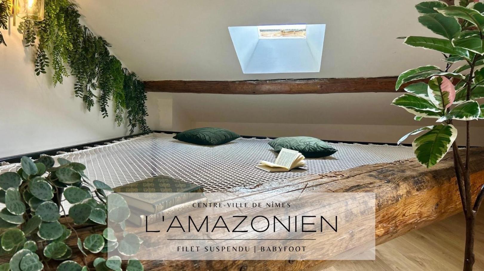 Apartment L'amazonien - Baby-foot Et Filet De Detente ! *